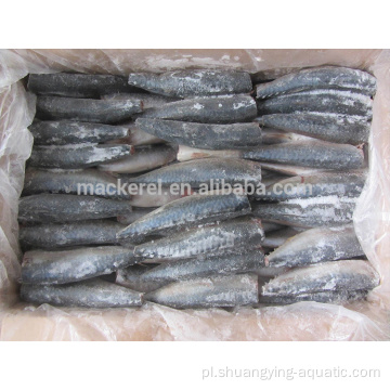 Mrożone owoce morza Pacific Mackerel HGT Fish